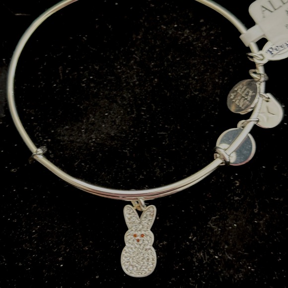 Alex and Ani Silver PAVE’ Bunny Charm Bangle - Picture 3 of 3